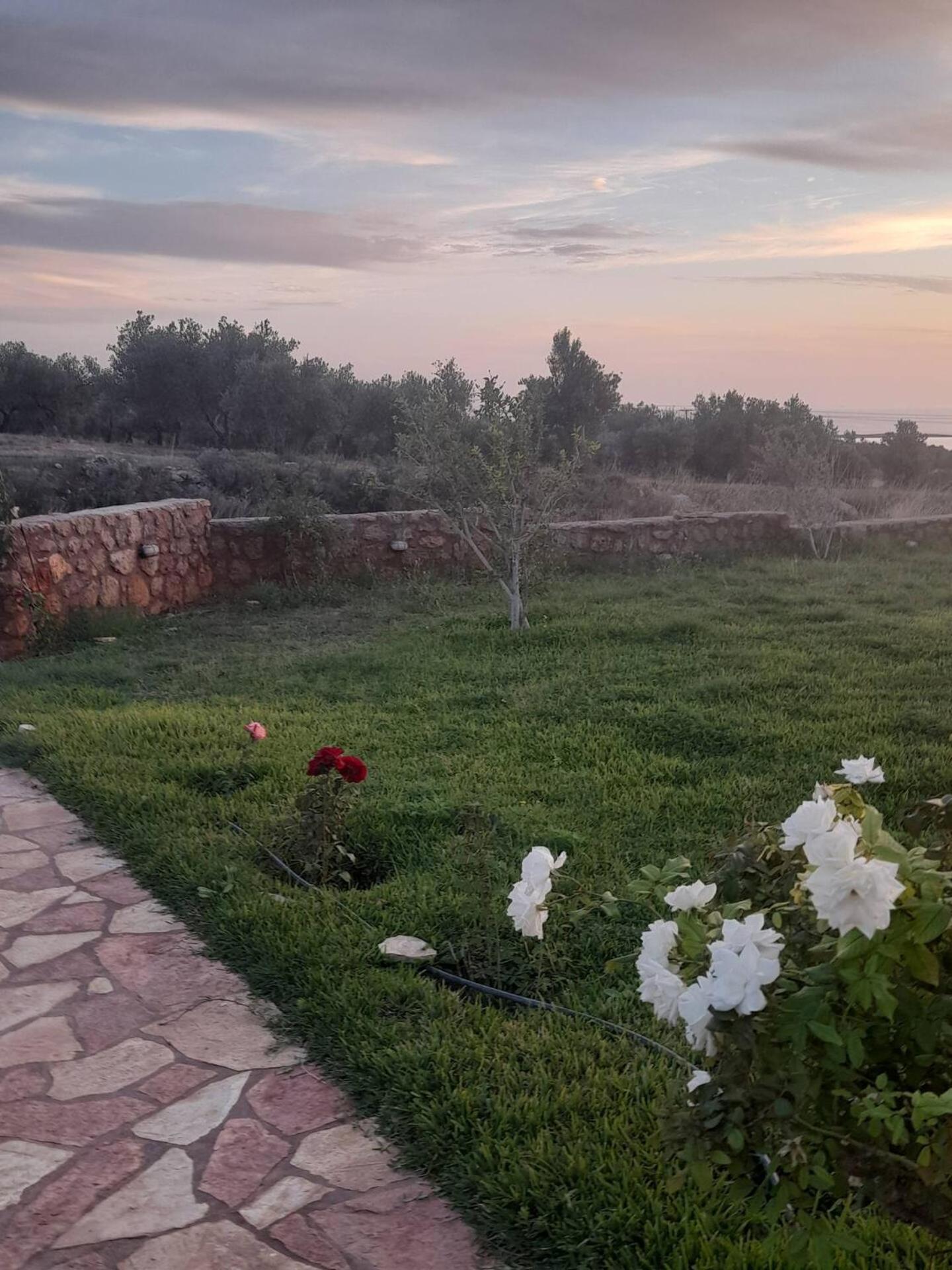 “Villa Othon-Leni” Paralia Demonias Eksteriør bilde